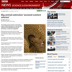 Big animal extinction 'severed nutrient arteries'