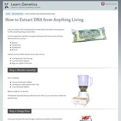 How to Extract DNA from Anything Living - StumbleUpon