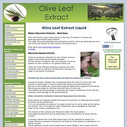 Olive Leaf Extract Liquid - Water/Glycerine Extracts