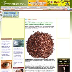 Grape Seed Extract Targets and Kills Cancer Cells and Leaves Healthy Cells Unharmed