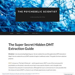 The Super Secret Hidden DMT Extraction Guide