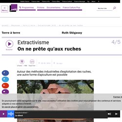 Extractivisme (4/5) : On ne prête qu’aux ruches