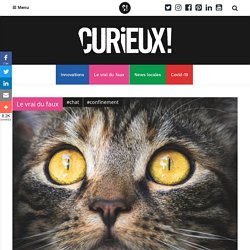 CURIEUX!, le site qui décrypte l’actualité scientifique, analyse les fakenews et les théories complotistes, actualités sur les innovations et les initiatives
