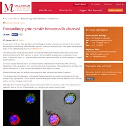 Extraordinary gene transfer between cells observed