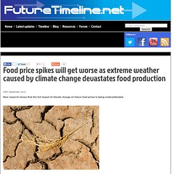 Food price spikes will get worse as extreme weather caused by climate change devastates food production