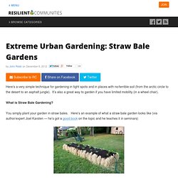 Extreme Urban Gardening: Straw Bale Gardens