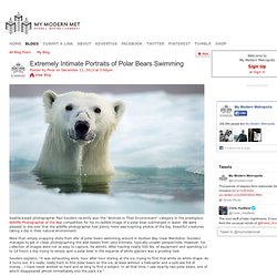 Extremely Intimate Portraits of Polar Bears Swimming