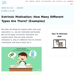 Extrinsic Motivation: How Many Different Types Are There? (Examples)