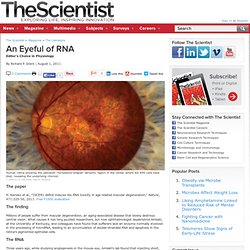 An Eyeful of RNA