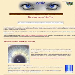 Eyesite - Iris structure page