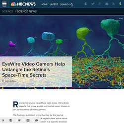EyeWire Video Gamers Help Untangle the Retina's Space-Time Secrets