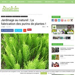 Jardinage au naturel : La fabrication des purins de plantes