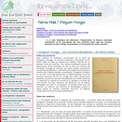 Fabrice Midal - Chögyam Trungpa - la révolution spirituelle - Révolution Lente