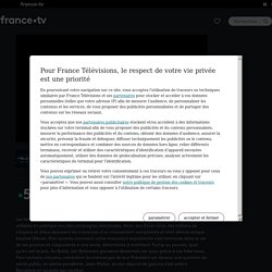 Vidéo : La fabrique du mensonge - Les fake news au pouvoir - France 5. Cycle 4