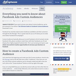 Facebook Ads Custom Audiences - Everything you need to know!