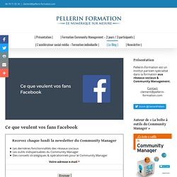Institut Pellerin - Formation Community Manager - Formation Community Manager