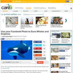 Use your Facebook Photo to Save Whales and Dolphins