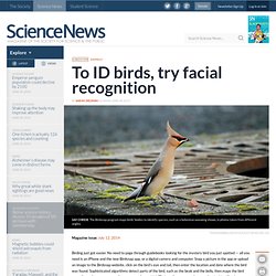 To ID birds, try facial recognition
