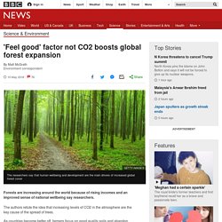 'Feel good' factor not CO2 boosts global forest expansion