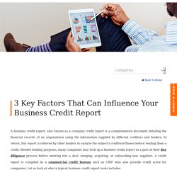 3 Key Factors That Can Influence Your Business Credit Report