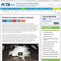 Factory Farming: Cruelty to Animals