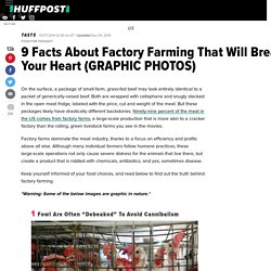 9 Facts About Factory Farming That Will Break Your Heart (GRAPHIC PHOTOS)