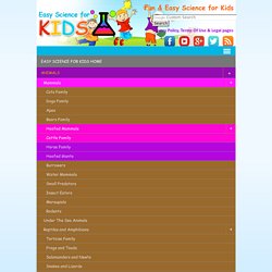 Facts About Energy for Kids - Easy Science