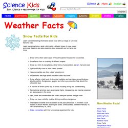 Fun Snow Facts for Kids - Interesting Information about Snow