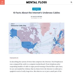 10 Facts About the Internet's Undersea Cables