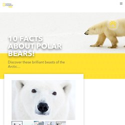 National Geographic Kids: Polar bears