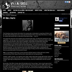 Pit Bull Facts : Villalobos Rescue Center