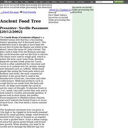 Ancient Food Tree Factsheet - Gardening Australia - ABC