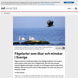 Fågelarter som ökar och minskar i Sverige