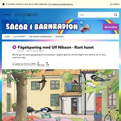 Fågelspaning med Ulf Nilsson - Runt huset  11 mars kl 18.43 - Sagor i Barnradion