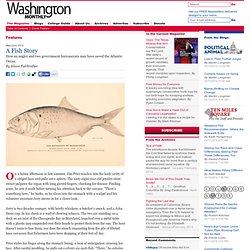 The Magazine - A Fish Story