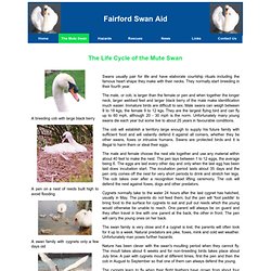 Swan Aid