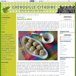 Falafels crus - GRENOUILLE CITADINE