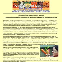 Falcarinol in carrots - reduces cancer risk