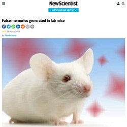 False memories generated in lab mice - life - 22 March 2012