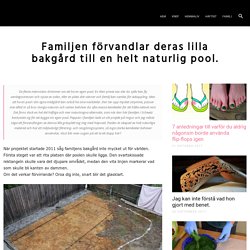 Familjen förvandlar deras lilla bakgård till en helt naturlig pool.