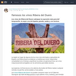 ¿Conoces los famosos los vinos Ribera del Duero?