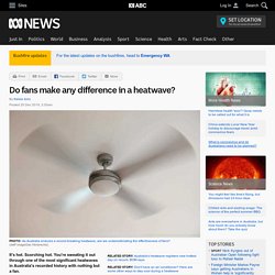 Do fans make any difference in a heatwave?