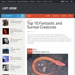 Top 10 Fantastic and Surreal Creatures