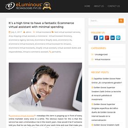 It’s a high time to have a fantastic Ecommerce virtual assistant with minimal spending – Eluminous VA Blog