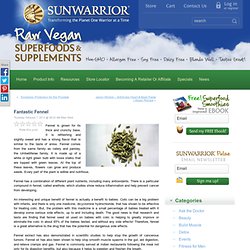Fantastic Fennel - Sunwarrior News