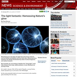 The light fantastic: Harnessing Nature's glow