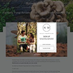 Fantastic Fungi Review – Watch a Film About the Mycelium