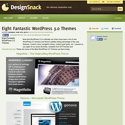 Eight Fantastic WordPress 3.0 Themes « Design Snack Blog