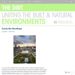 Farm the Rooftops – The Dirt