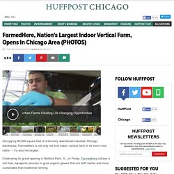 FarmedHere, Nation's Largest Indoor Vertical Farm, Opens In Chicago Area (PHOTOS)